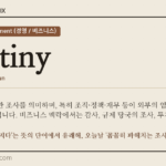 scrutiny · 오늘의 영어 단어