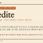 expedite · 오늘의 영어 단어