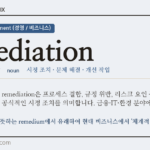 remediation · 오늘의 영어 단어