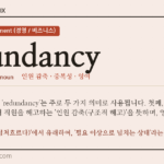 redundancy · 오늘의 영어 단어